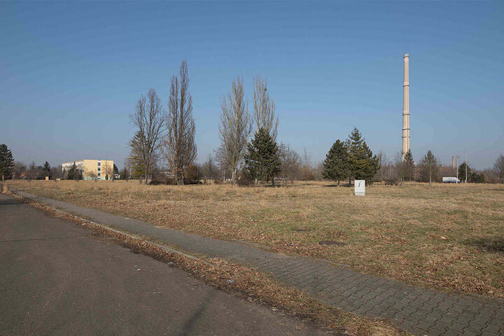 Vom Wohnviertel zur Wiese: der Bergander-Ring heute.