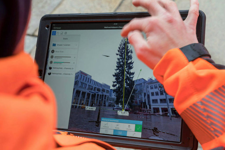 Es ist bemessen: Der Baum ist 28,4 Meter groß!