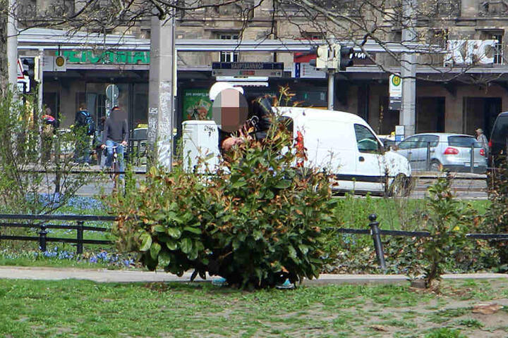Im Busch scheint ein "Schatz" versteckt zu sein. Der Botanikfreund fingert etwas aus dem Ziergehölz.