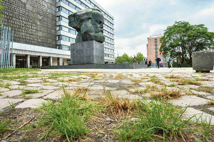Der Nischel, Wahr
-
zeichen von Chemnitz:
Überall wuchert
Gras und Unkraut.