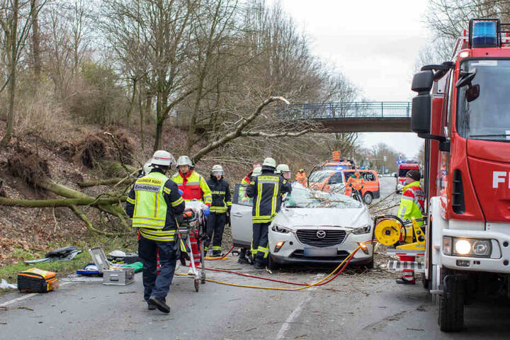 Die Feuerwehr musste den schwer verletzten Fahrer retten.