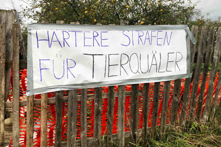 Die Nachbarn fordern nun härtere Strafen für die Tierquäler.