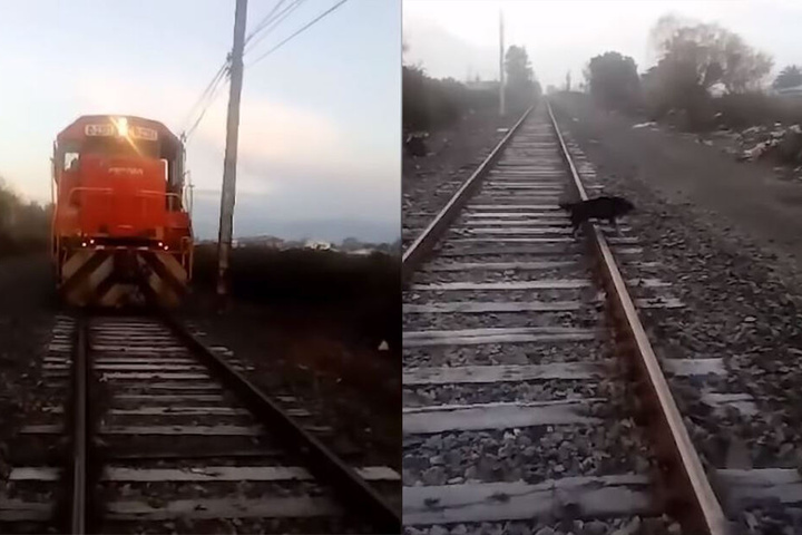 Ausschnitte aus dem Handy-Video des Lokführeres.