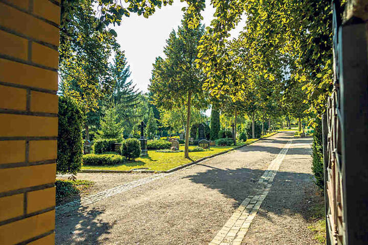 Die Fronten zwischen kirchlicher Verwaltung und Familie auf dem Friedhof
Cotta sind verhärtet.