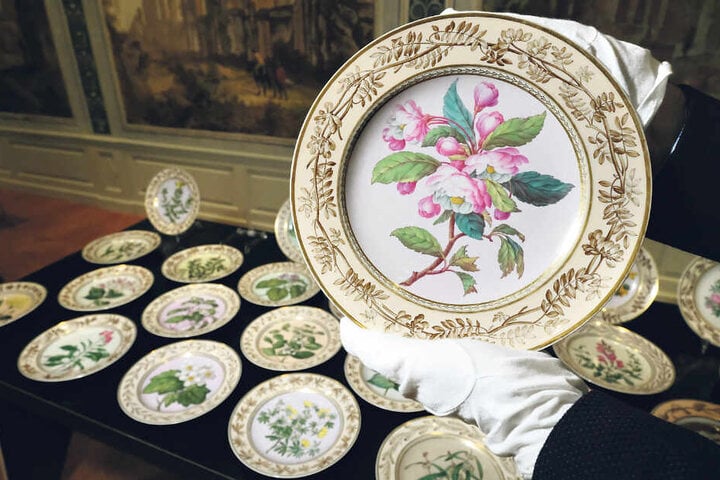 Diese Dessertteller der Königlichen Porzellan-Manufaktur (KPM) aus der Zeit um 1806 mit Pflanzenmotiven erhielt das Grassi-Museum gestern als Schenkung.