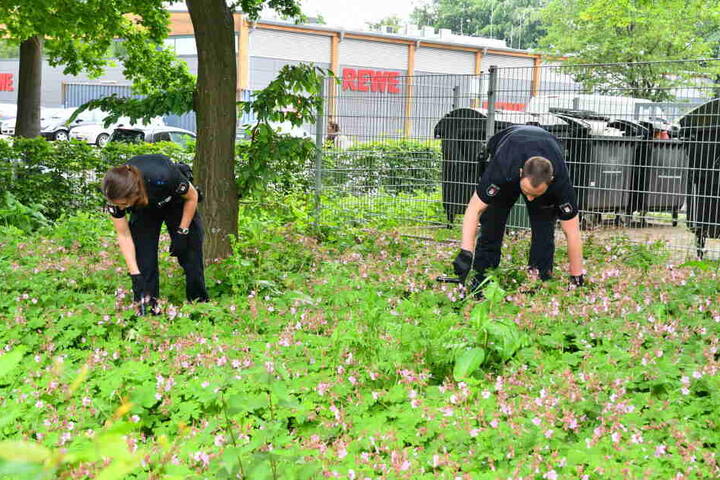 Polizeibeamte suchen in der Umgebung nach Spuren.