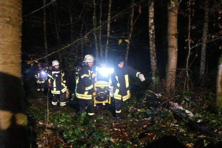 Feuerwehrleute bei ihrem Einsatz in dem Waldstück.