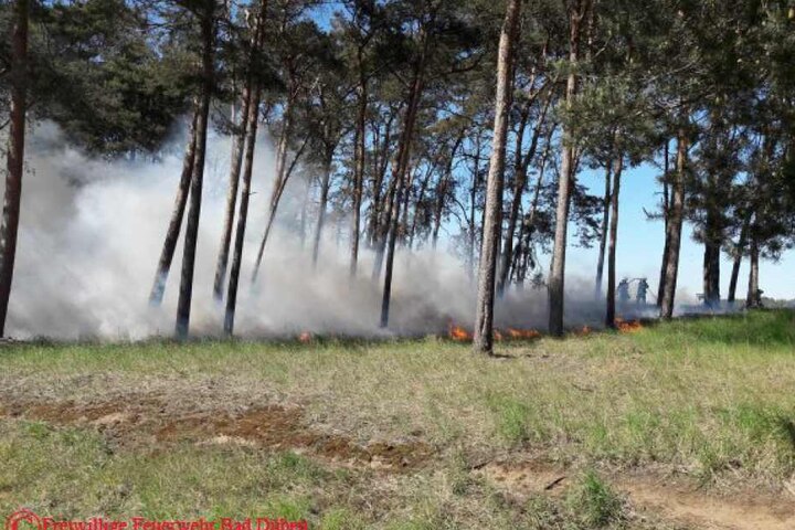 Die Kameraden aus sieben umliegenden Freiwilligen Feuerwehren mussten einen rund 1000 Quadratmeter großen Waldbrand löschen.