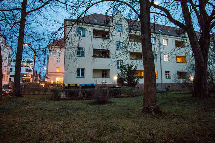 In dem Leipziger Wohnblock an der Scharnhorststraße wurden im Oktober bereits Tauben mit einem Luftgewehr geschossen.