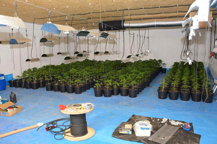 Auch Marihuana und tausende Euro Bargeld haben die Polizisten hier gefunden.