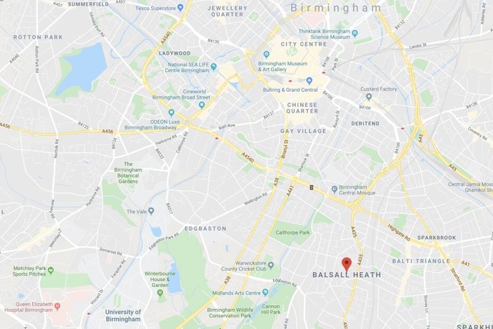 Eine zurückgelassene und schwer verletzte Hündin wurde in Balsall Heath in Großbritannien von Feuerwehrleuten gerettet.