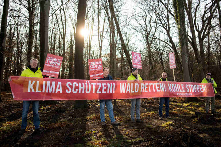 An diesem Sonntag wollen die Menschen gegen die Rodung von Waldflächen protestieren.