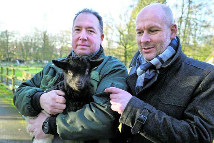 Thorsten Dodt (l.) und Sieghard Schöneberg mit einem Jungtier der Walisischen Schwarzwaldziegen.