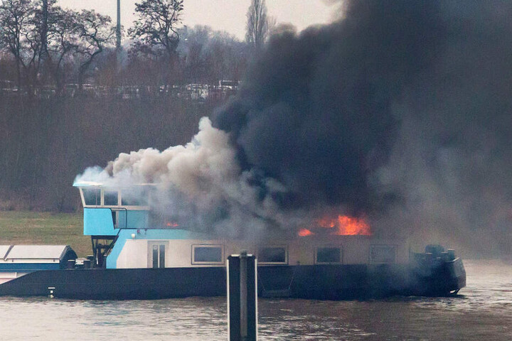 2 Personen und ein Papagei konnten gerettet werden.