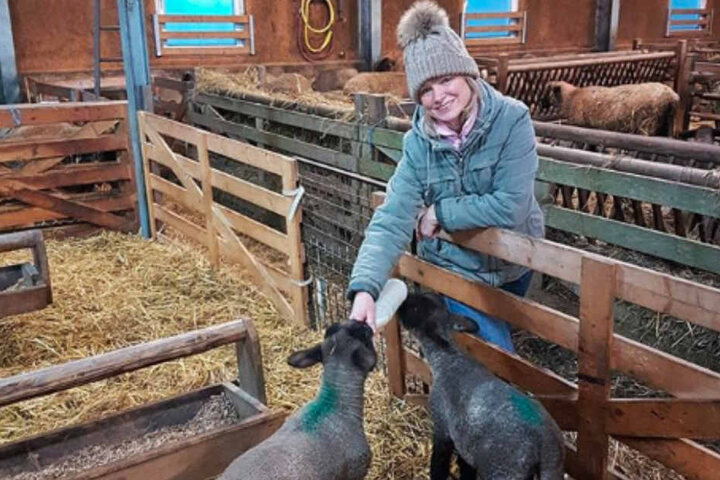 Birgit legt sogar selbst Hand an und füttert die süßen Lämmchen.