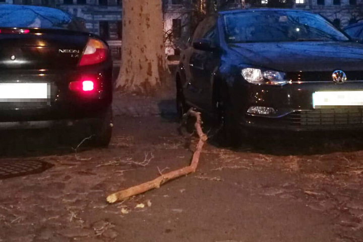 Am Leipziger Floßplatz landete dieser dicke Ast neben zwei geparkten Autos.