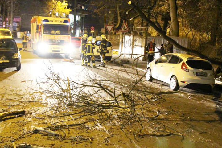 Vorher durchbrach der Baum noch einen Zaun, ehe er auf dem Auto landete.
