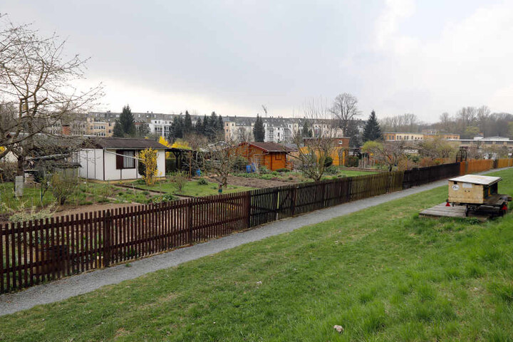 Auch in der Gartenanlage „Sachses Ruh“ in Altchemnitz waren die Einbrecher
unterwegs.