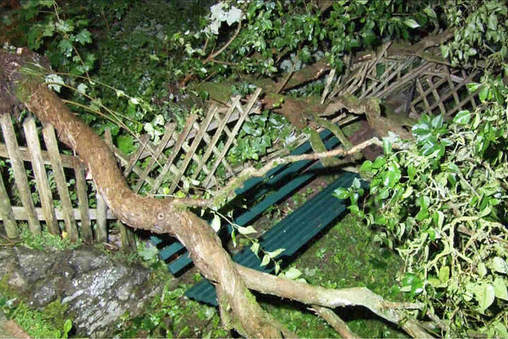 Die heftigen Sturmböen brachten zahlreiche Bäume zum Einstürzen.