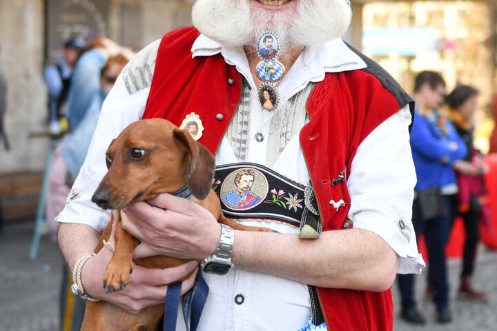 Werner Waldhütter präsentiert bei der Dackelparade den Dackel Twinky.