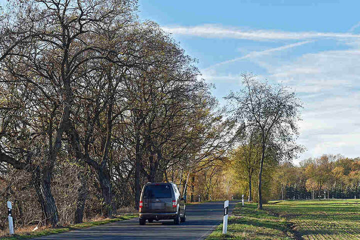 Die Todesstraße kurz vor Strauch: Ob sich dort die beiden Autos ein Rennen lieferten, wird jetzt untersucht.