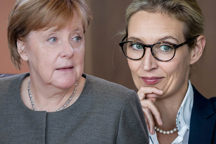Von Angela Merkel (63) bis Alice Weidel (38) - auch für die Männer ist was dabei.