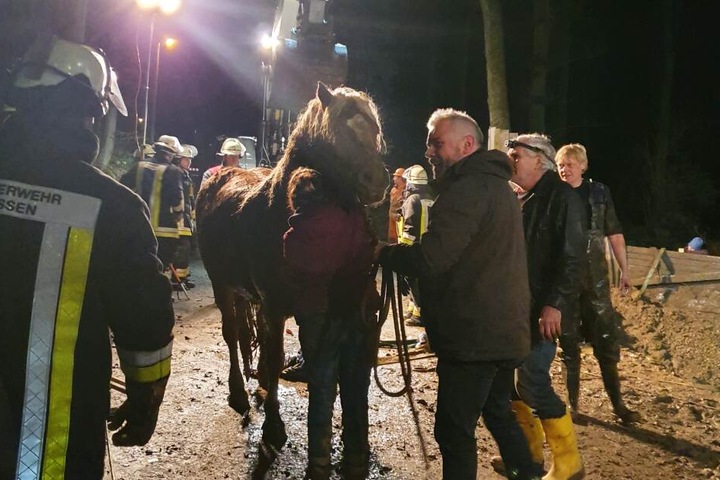Am Ende konnte das Pferd gerettet werden.