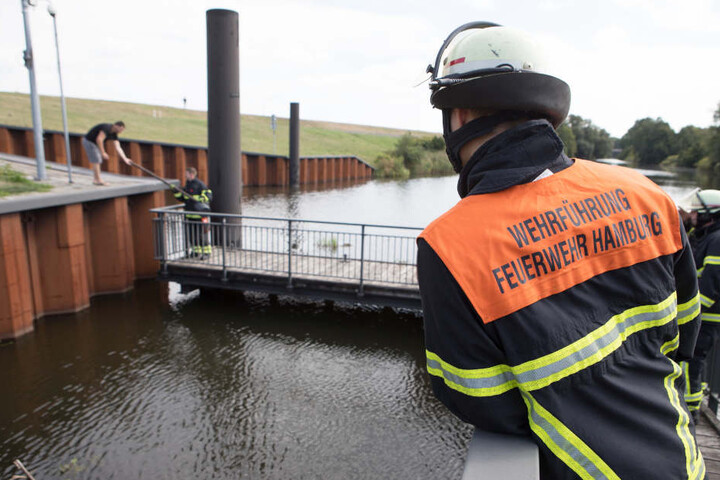 Feuerwehrleute trieben das Eichhörnchen aus seinem Versteck, um es zu untersuchen.