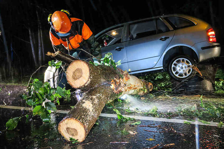 Die Rettungskräfte mussten den Stamm zerlegen, um das Auto bergen zu können.