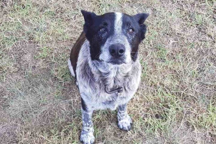 Der 17 Jahre alte Max wurde auf seine alten Tage zum Helden.
