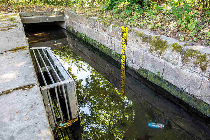 Schotten dicht. Derzeit geht kein Wasser vom Kaitzbach mehr in die Teiche des Großen Gartens.