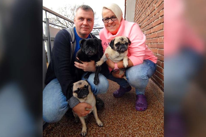 Holger und Sabine Effnert haben Monty sofort ins Herz geschlossen. Und auch ihren beiden anderen Möpsen Gismo und Rockster ging es nicht anders.