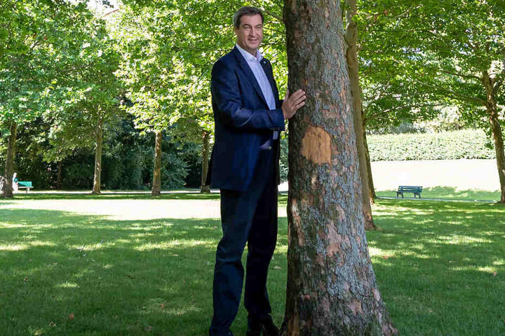 Markus Söder will mehrere Millionen Bäume in Bayern pflanzen lassen.