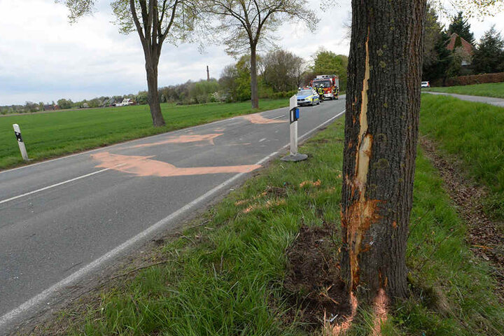 Der 23-Jährige krachte mit seinem Auto in diesen Baum.