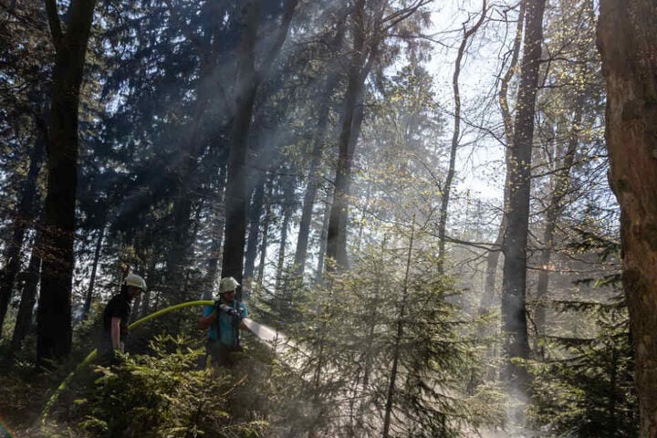 Die Einsatzkräfte musste sich durch Gestrüpp kämpfen, um das Feuer löschen zu können.