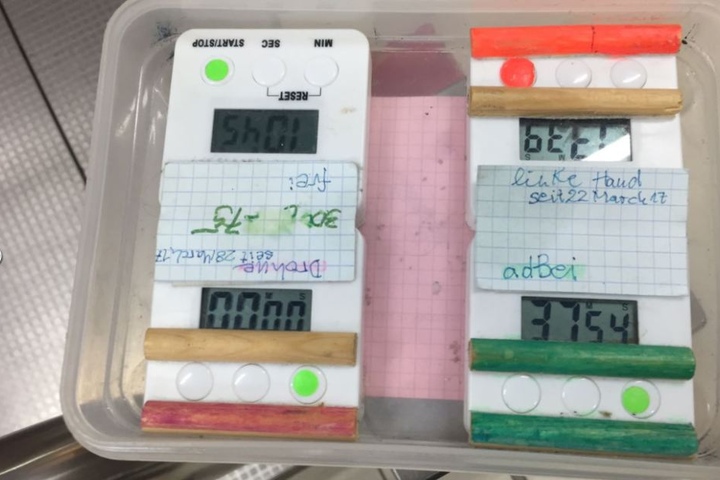 Tatsächlich befanden sich wirklich nur vier Digitaluhren in der Box.