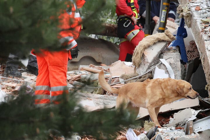 Auch Hunde halfen in Rettenbach am Auerberg bei der Suche nach den Opfern.