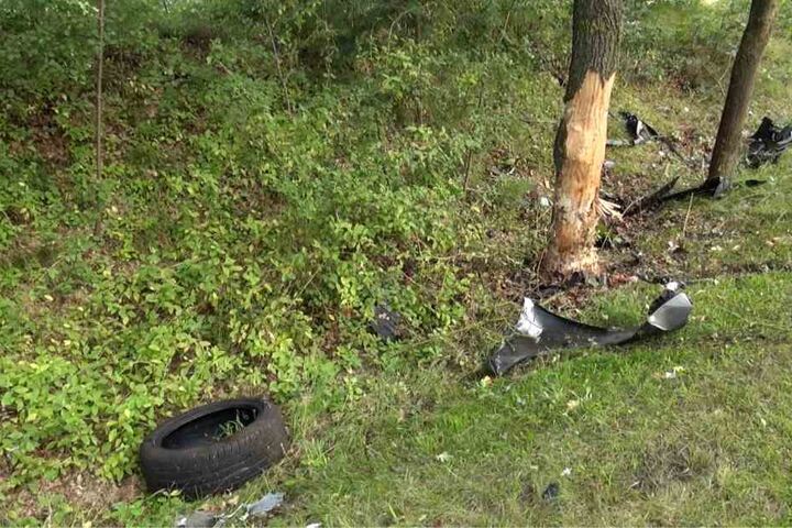 Gegen diesen Baum ist der Fahrer mit seinem Audi geprallt.