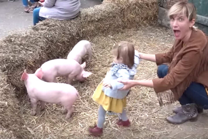Auf einem Bauernhof lernte Ella auch Schweinchen kennen.