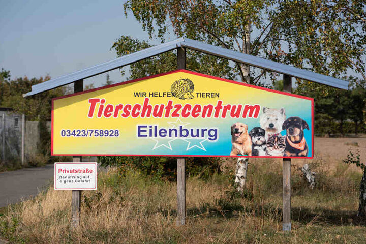 Im Tierschutzcentrum Eilenburg kümmern sich viele Freiwillige um ausgesetzte Haustiere und kranke Wildtiere.