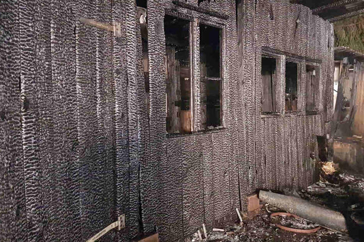 Viele Tiere hatten in den Flammen keine Chance, den Brand zu überleben.