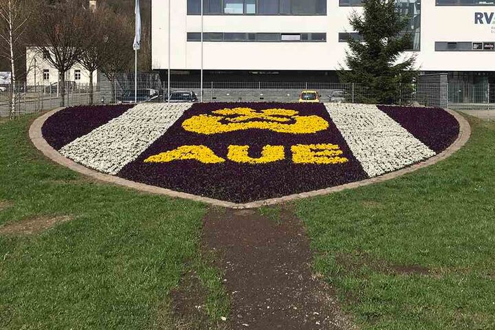 Über 10.000 lila, weiße und gelbe Veilchen hat die Stadt am Bahnhof gepflanzt. Das botanische Wismut-Emblem ist ein farbenfroher Hingucker.