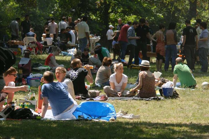 Wer bei schönem Wetter gern picknickt kennt die Probleme mit den Wespen.