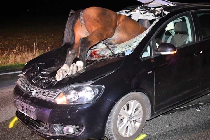 Die Fahrerin wurde bei dem Unfall nur leicht verletzt.