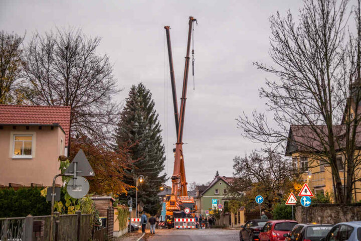 Straßensperrung für die Rotfichte.