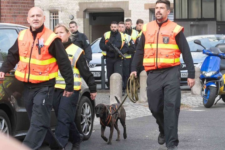 Mit Spürhunden machte sich die Polizei auf die Suche nach den Tätern.