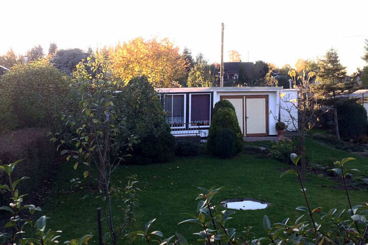 Martin E. (79) verbrachte viel Zeit mit der Pflege seines Gartens in der Anlage "Knielohgrund".
