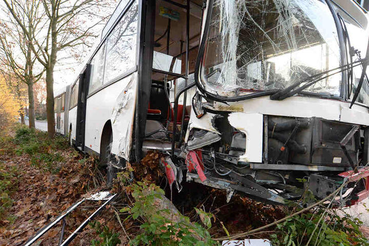 Der Bus kam von der Fahrbahn ab und krachte gegen einen Baum.
