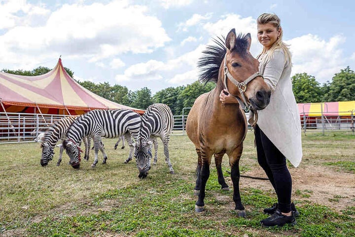 Stephanie Probst (31) kuschelt mit dem schwarz-braunen Zebroid.