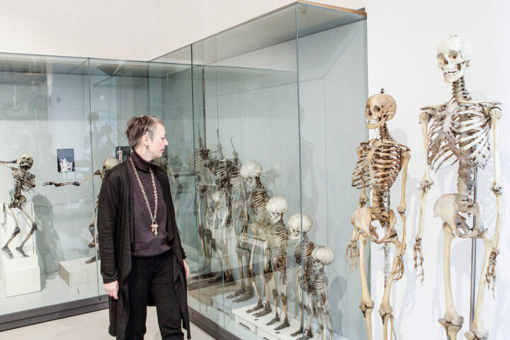An diesen Skeletten studierten angehende Künstler den menschlichen Körper.